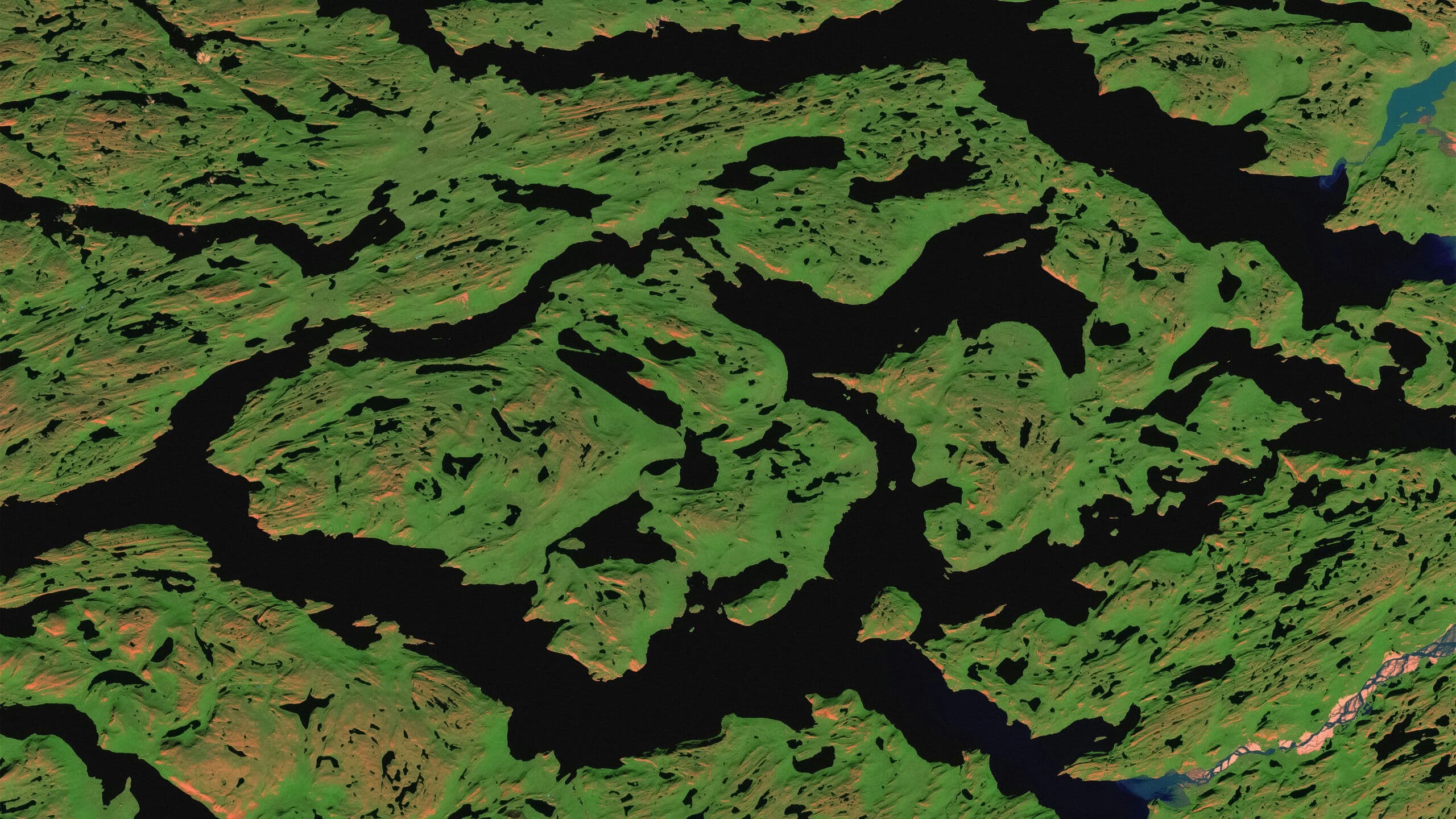 MAIA landscape background