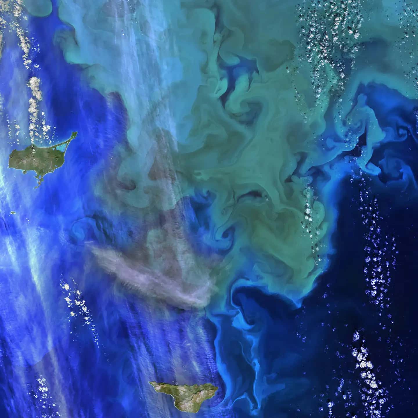 MAIA landscape background