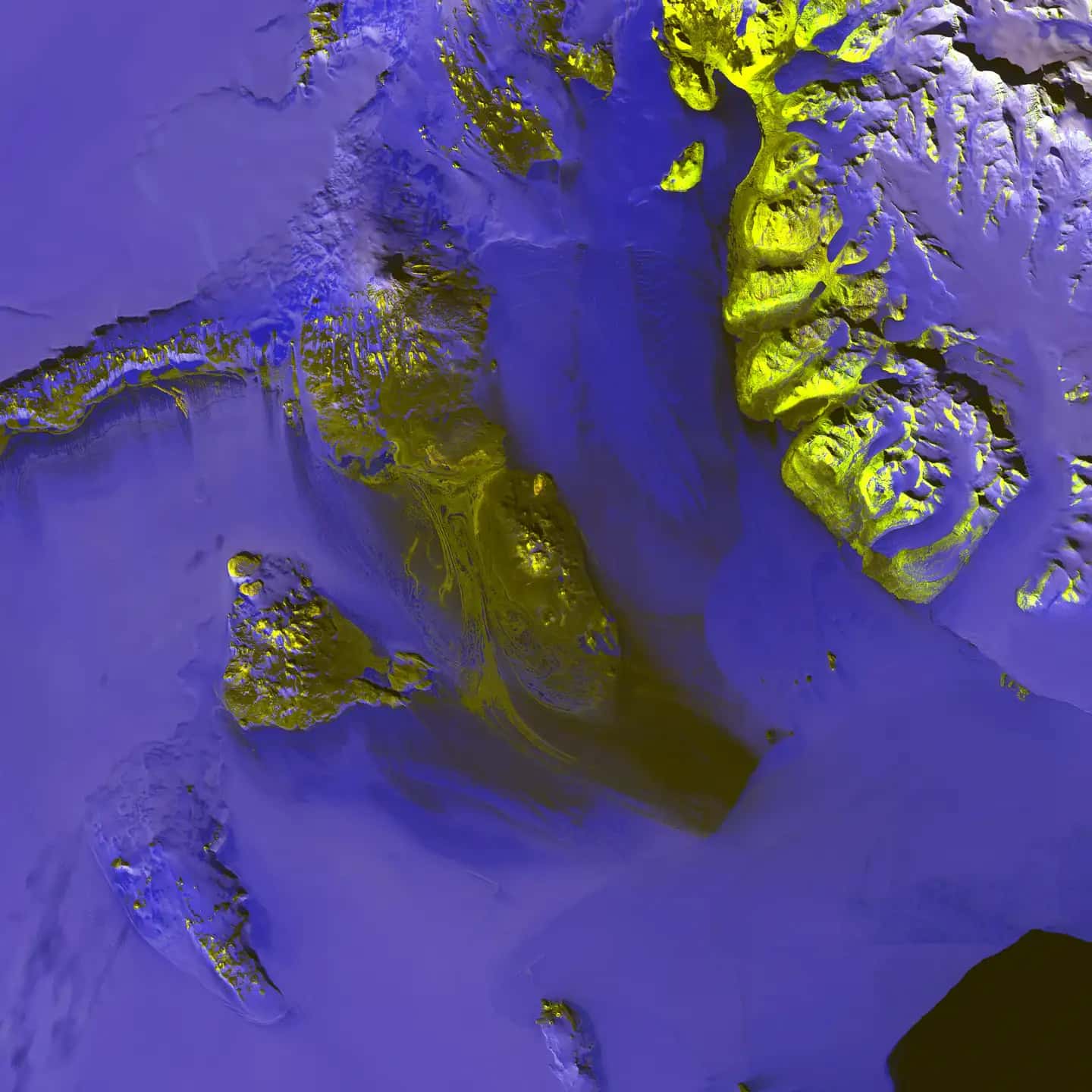 MAIA landscape background